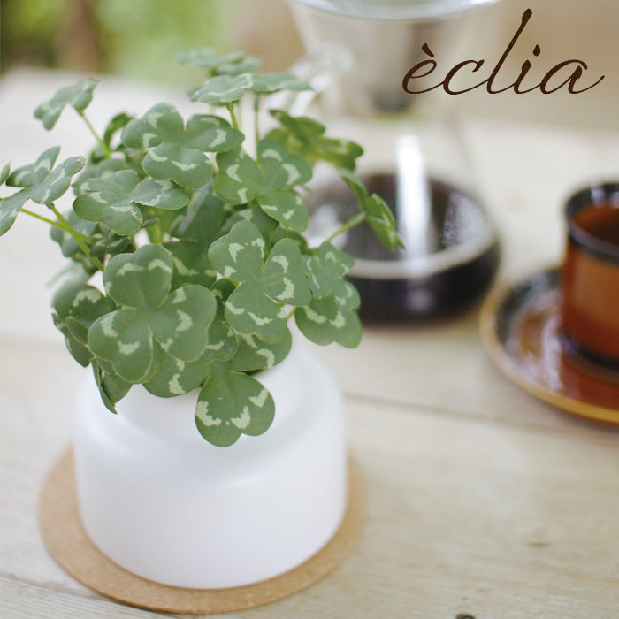 フェイクグリーン クローバー 観葉植物 人工観葉植物 造花 エクリア 卓上 CT触媒 光触媒 消臭 防汚 抗菌 簡単 清潔 安心 水やり不要 インテリア 玄関 トイレ 洗面所 デスク上 ギフト プレゼント 誕生日 開店祝い 新築祝い