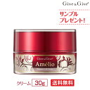 アメリオ プレミアムリフトクリーム クリーム 30g Give&Give ギブ アンド ギブ 山忠 ギブギブ 送料無料