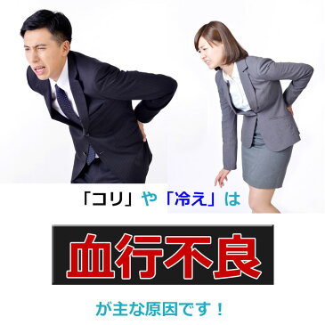 【正規品】コラントッテ ウエストベルト【コラントッテ 磁気 腰痛 ベルト 医療機器 効果 おすすめ お風呂 サイズ サイズ感 サイズ調整 付け方 ポイント消化】新生活応援