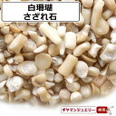 さざれ 送料無料 天然石 白珊瑚 ABランク 15g(小-中粒)【さざれ石 パワーストーン さざれ石 浄化用 さざれ石 浄化 さざれ石 効果 さざれ石 レジン オルゴナイ ネイル パーツ ポイント消化】