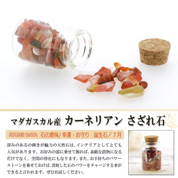 さざれ石 天然石 ガラスの小瓶入り カーネリアン マダガスカル産 Aランク 約25g 小-中粒【パワーストーン ネイル ストーン パーツ 開運 浄化 アクセサリー さざれ 水晶 ブレスレット ブレス インテリア 水槽 レジン オルゴナイト ポイント消化】