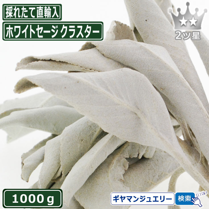 55 以上節約 あす楽対応 無農薬 直輸入 ホワイトセージ クラスター 1000g 1kg 2ツ星 枝付き ホワイト セージ 浄化用 スマッジング ハーブ カリフォルニア アロマ お香 乾燥 浄化 苗 効果 通販 ポイント消化 テレワーク 在宅 Www Etechnologycr Com 55 以上節約 あす楽対応 無農薬 直輸入 ホワイトセージ クラスター 1000g 1kg 2ツ星 枝付き ホワイト セージ 浄化用 スマッジング ハーブ カリフォルニア アロマ お香 乾燥 浄化 苗 効果 通販 ポイント消化 テレワーク 在宅 Www Etechnologycr Com
