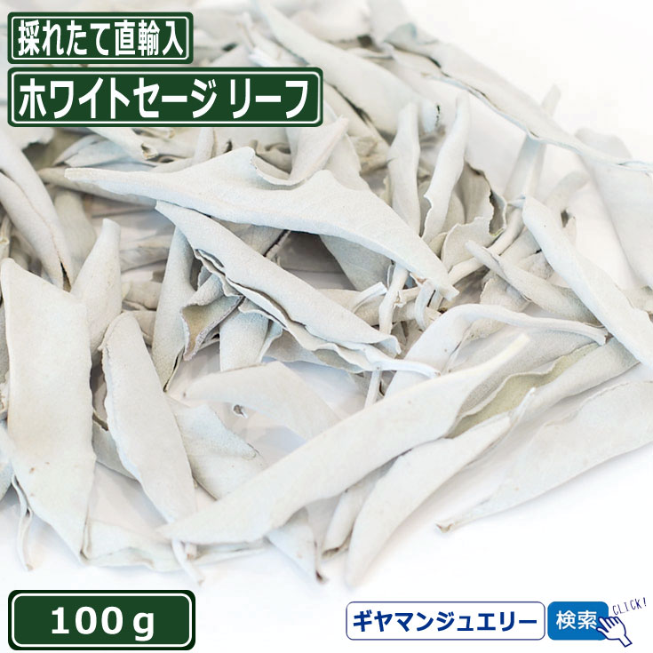 【送料無料】【あす楽対応】【無農薬 直輸入】ホワイト セージ リーフ 100g【枝なし】【ホワイトセージ 浄化用 スマッジング ハーブ カリフォルニア さざれ アロマ 通販 お香 乾燥 浄化 効果 花 苗 ポイント消化】