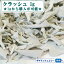 ホワイトセージ 浄化用の画像