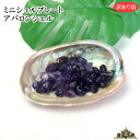 理由あり ミニシェルプレート ミニアバロンシェル 【天然石 貝 貝殻 真珠 パール 浄化用 浄化 スマッジング ハーブ カリフォルニア ホワイトセージ インテ...