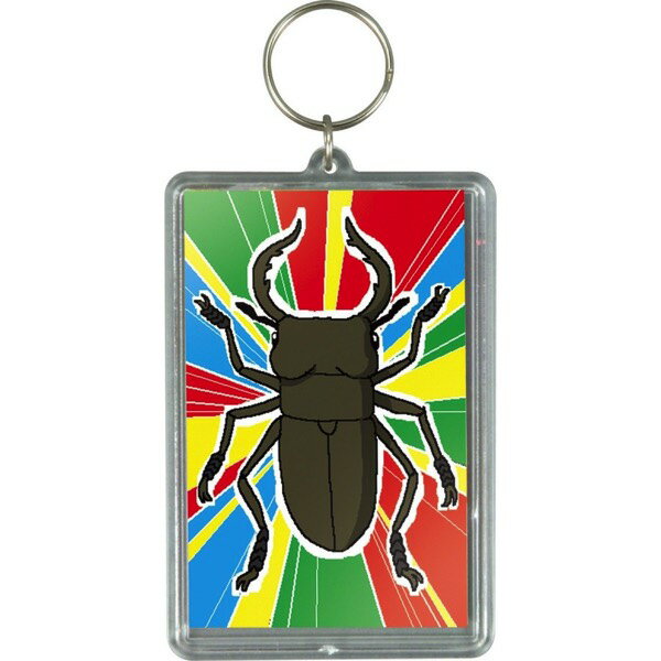 ワンタッチクリアキーホルダー(プレゼントクリアカードケース) おすすめ 人気 使いやすい 便利 高評価 レビュー多数