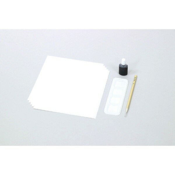 水墨画個人セット 彩色筆付 おすすめ 人気 使いやすい 便利 高評価 レビュー多数