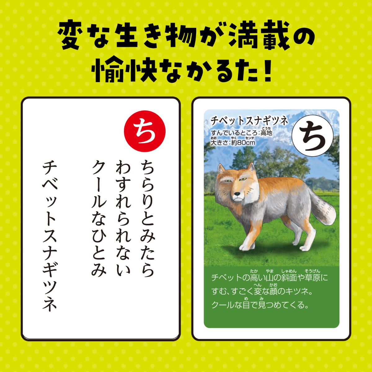 変ないきものかるたかるた 変ないきもの 生き物 いきもの 生物 不思議 カードゲーム ボードゲーム テーブルゲーム ゲーム お正月 冬休み 子ども 幼児 幼稚園 保育園 小学生 知育玩具 ホビー 玩具 おもちゃ - Image 2