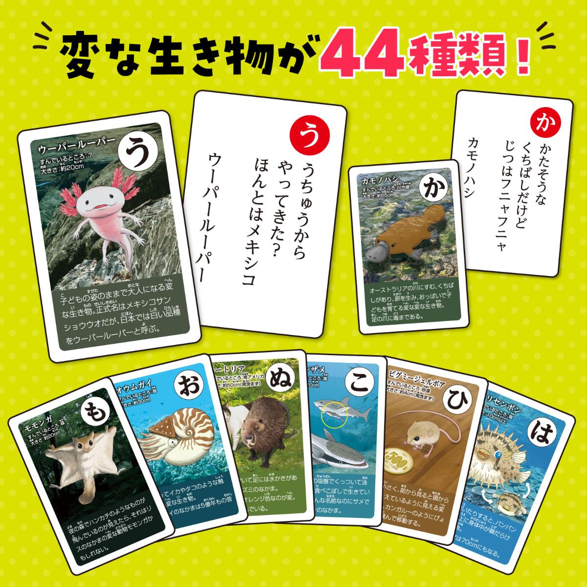 �Ѥʤ�����Τ��뤿���뤿 �Ѥʤ������ ����ʪ ������� ��ʪ �Ի׵� �����ɥ����� �ܡ��ɥ����� �ơ��֥륲���� ������ ������ �ߵ٤� �Ҥɤ� �Ļ� ���ձ� �ݰ�� ������ �ΰ��� �ۥӡ� ��� �������