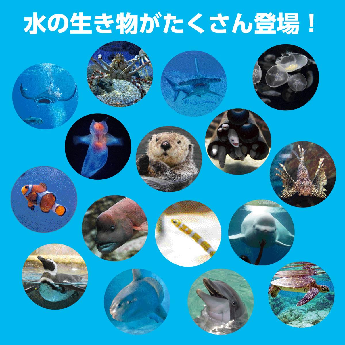 わくわくすいぞくかんすごろくボードゲーム すごろく ゲーム 水族館 すいぞくかん 生き物 海の生き物 魚 イルカ ラッコ テーブルゲーム 学習 子ども 幼児 幼稚園 保育園 小学生 お正月 ホビー 玩具 おもちゃ オモチャ 脳トレ 3