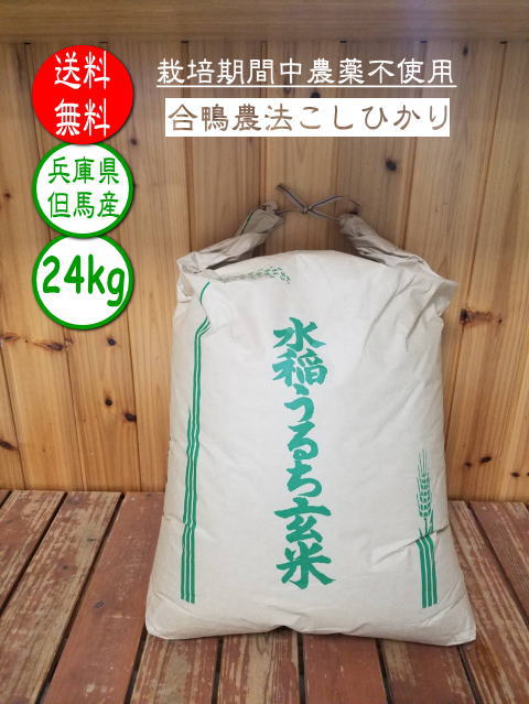 【楽天市場】【新米･令和4年産】 あいがも米 24kg あいがも農法 兵庫県産 但馬産 こしひかり コシヒカリ 農薬不使用 無農薬 合鴨米