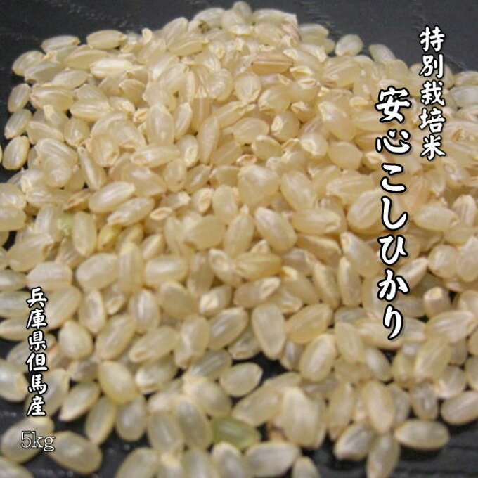 【新米】特別栽培米 兵庫県産 但馬産 2年産 コシヒカリ 減農薬 玄米 分づき精米 農家直送 当日精米【特別栽培米安心こしひかり】5kg