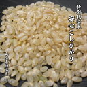 特別栽培米 お米 10kg 玄米 白米 兵庫県 但馬産 コシヒカリ 減農薬 認定 分づき精米 5分 7分 農家直送 当日精米 自然農法 米 送料無料【特別栽培米安心こしひかり】10kg