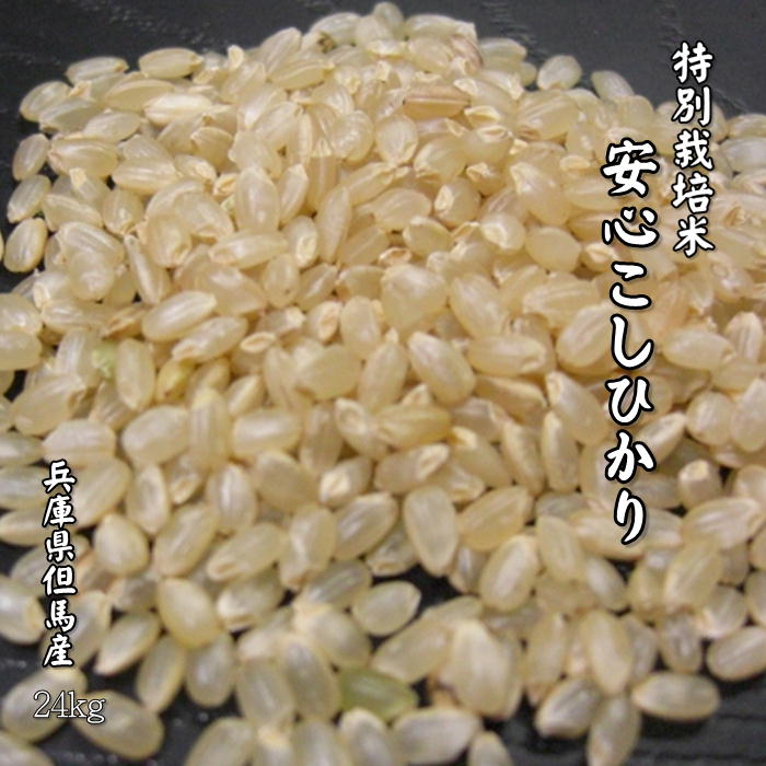 【期間限定OFF】令和元年産 兵庫県産 特Aコシヒカリ 減農薬 玄米【特別栽培米安心...