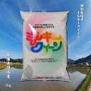 【新米】令和2年産 兵庫県産 但馬産 冷めてもおいしい もっちり米 おにぎり お弁当 玄米【特別栽培米ミルキークイーン】2kg