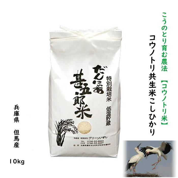 【5年産】コウノトリ米 10kg 5kg×2 こしひかり 兵庫県産 但馬産 減農薬 こうのとり米 こうのとり育む農法 コシヒカリ お米 米 玄米 白米 分づき精米 5分 7分 農家直送 当日精米 送料無料【特別栽培米コウノトリ共生米こしひかり】10kg