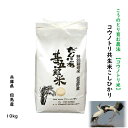 コウノトリ米 10kg 5kg×2 こしひかり 兵庫県産 但馬産 減農薬 こうのとり米 こうのとり育む農法 コシヒカリ お米 米 玄米 白米 分づき精米 5分 7分 農家直送 当日精米 送料無料10kg