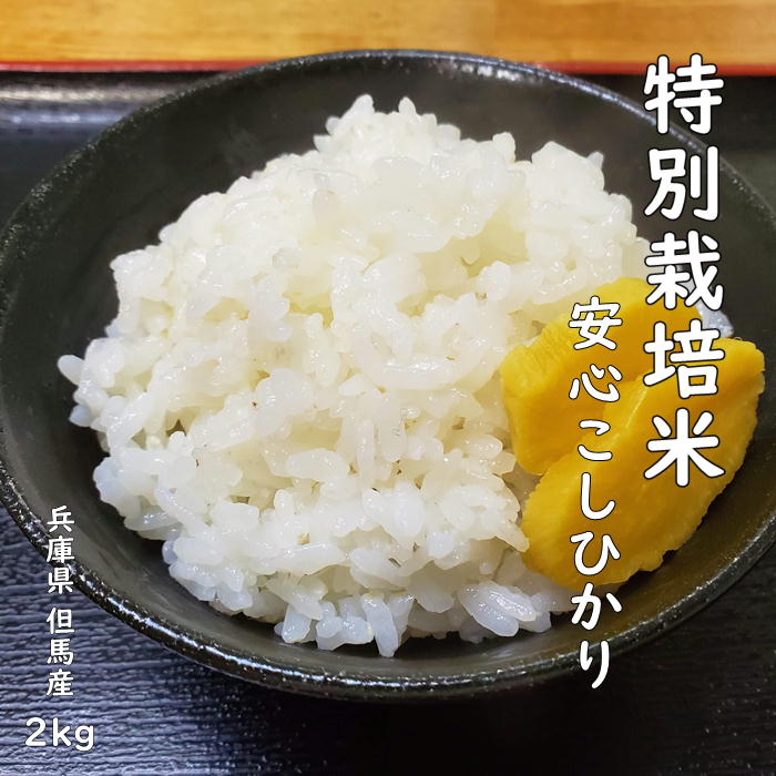 【新米】【自然農法】特別栽培米 令和3年産 兵庫県産 但馬産 コシヒカリ こしひかり...