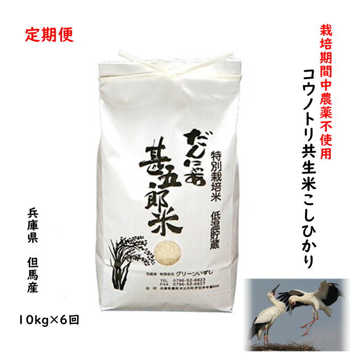 【定期購入】無農薬コウノトリ米 10kg×6回 兵庫県産 但馬産 コシヒカリ こしひかり こうのとり米 こうのとり育む農法 分づき精米 無農..