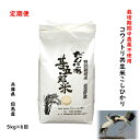 【定期購入】無農薬コウノトリ米 5kg×6回 兵庫県産 但馬産 コシヒカリ こしひかり こうのとり米 こうのとり育む農法 分づき精米 無農薬 農家直送 当日精米 玄米 白米 5分 7分【栽培期間中農薬不使用コウノトリ共生米こしひかり】5kg×6回