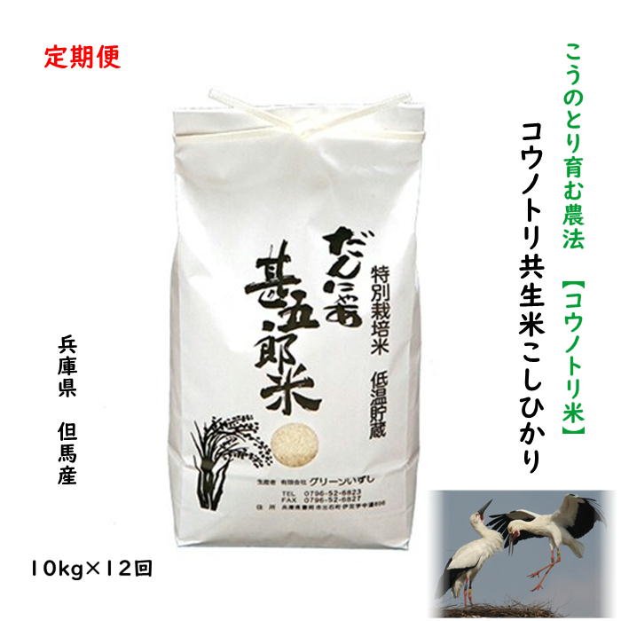 【定期購入】コウノトリ米 10kg×12回 兵庫県産 但馬産 コシヒカリ こしひかり こうのとり米 こうのとり育む農法 分づき精米 農家直送 当日精米 玄米 白米 5分 7分 お得 送料無料【特別栽培米コウノトリ共生米こしひかり】10kg×12回