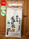 【新米】兵庫県 但馬産 豊岡市 令和元年産 2019年産 一等米 安心安全 こしひかり コシヒカリ 農薬不使用 低温貯蔵 コウノトリ育む農法 冬季湛水 【栽培期間中農薬不使用コウノトリ米こしひかり】5kg