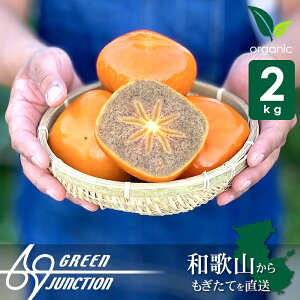 柿 紀の川柿 2kg 無農薬 【予約販売】【10月中旬より順次発送】6玉から8玉入り 黒星 ブラックスター 送料無料 高級 和歌山県産 農園直送 産地直送 除草剤不使用 有機栽培 オーガニック お取り寄せ プレゼント 贈り物 グルメ 国産 グリーンジャンクション