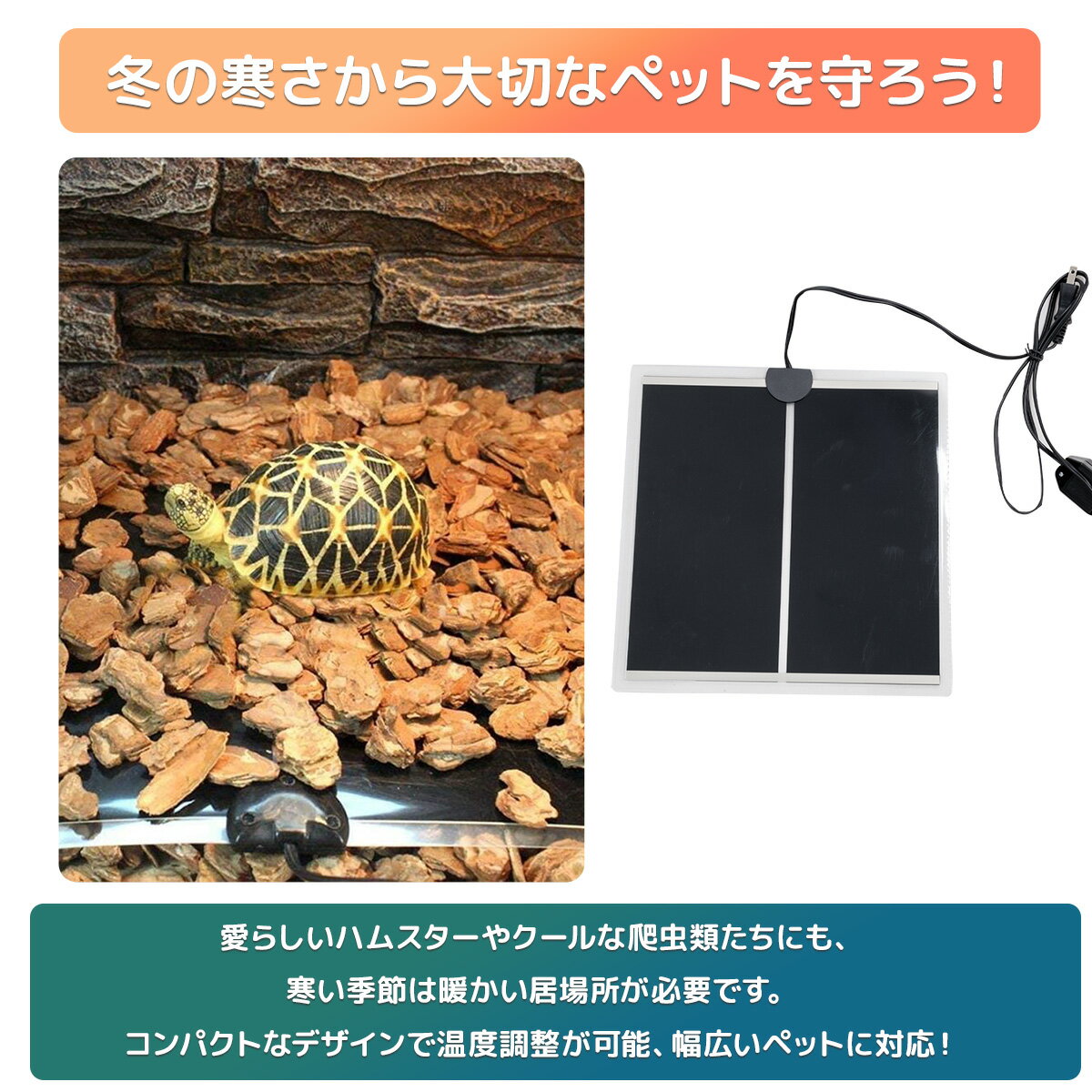 【お買い物マラソン 全品P5倍】爬虫類 パネル...の紹介画像2