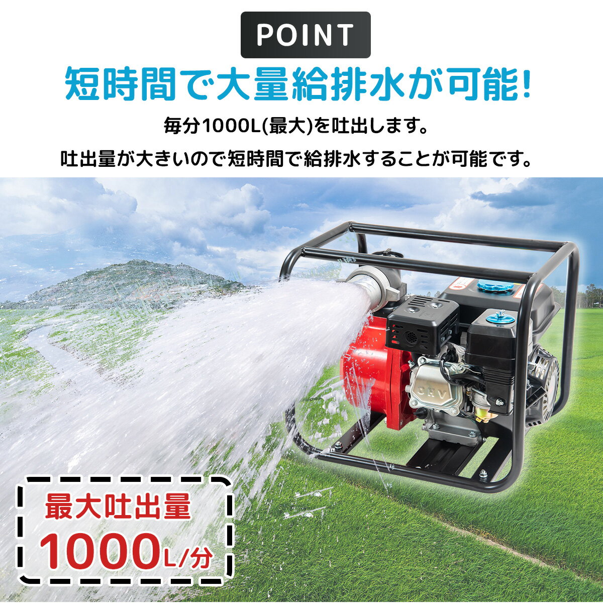 ��2/5��2/11���� ����10��OFF�����ݥ�ۡڥ�ӥ塼��Ƥ�6�����ݾ��ա�4�������� ���󥸥�ݥ�� 7���� ���� 3�����(80mm)��2��������ɺ� �ҳ��к� �峲 ���� �����ǥ˥� ��� ������ ���ȵ��� ������ �ۿ� �ӿ� ��� ������ ���� ���� ���� ������ ������