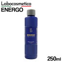 ENERGO ラボコスメティカ エネルゴ Labocosmetica 250ml ラボコス ウォータースポット汚染除去剤 水垢 洗車 メンテナンス キット 車 ...