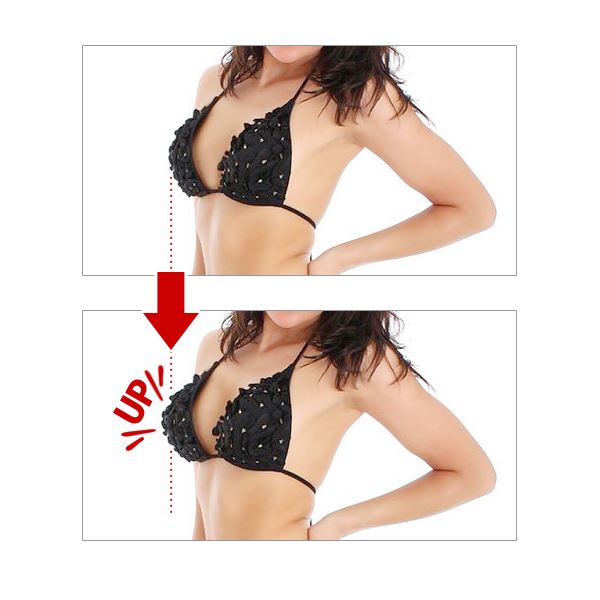 2026 ���ѥå� ����� ����ѥå� �ѥå� ����䲼���in���ƥ���ޥ饹�����궻���������� ���֤� �뺧�ˤ� �������� ����