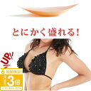 【P3倍】2025 胸パッド モリモリ レモンパッド パット 水着や下着にinしてグラマラスな盛り胸を完成させて お返し 結婚祝い お誕生日 通販