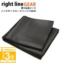 【P3倍】ライトラインギア ノンスキッドルーフパッド 滑り止めシート 100650 カートップキャリア専用の滑り止め 安全 固定 通販 2025