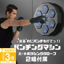 【P3倍】【サマーセール】ボクシング マシン パンチングマシーン グローブ付 1日5分ダイエット ボクシングマシン 家庭用 パンチング ボクササイズ ボクサー ...