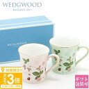 【P3倍】【正規紙袋 無料】 ウェッジウッド 食器 マグカップ セット 柄 正規品 ワイルドストロベリー パステル マグ ピンク・グリーン ペア 300mlワイルド ストロベリー WEDGWOOD 高級 結婚祝い おしゃれ 贈り物 食器セット ギフトセット ギフト 新品 ブランド 通販