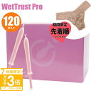 【P3倍】先着順 Tバック付き ウェットトラスト プロ 120本入 ローション 120 本 潤滑 ゼリー 大容量 衛生グッズ 手につかない 無色 無味 無臭 安...