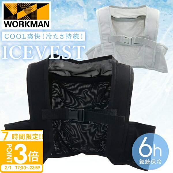 【P3倍】ワークマン タルテックス アイスベスト（アイスパック4個付）長時間保冷 アイスパック 着る保冷剤 安価 長時間冷却 熱中症対策 暑さ対策 アイスベスト 通販 2026