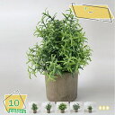 人工観葉植物 造花 鉢植え 光触媒 フェイクグリーン インテリア 本物 癒しの 木製フレーム おしゃれ グリーン デコレーション 枯れない 手作り 人工植物 イ...