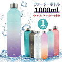 ウォーターボトル 水筒 1000ml 1リットル 軽量 タイムマーカー付き 透明 水筒 ミント モチベーション測定 時間と量付き BPAフリーのつや消しプラスチ...