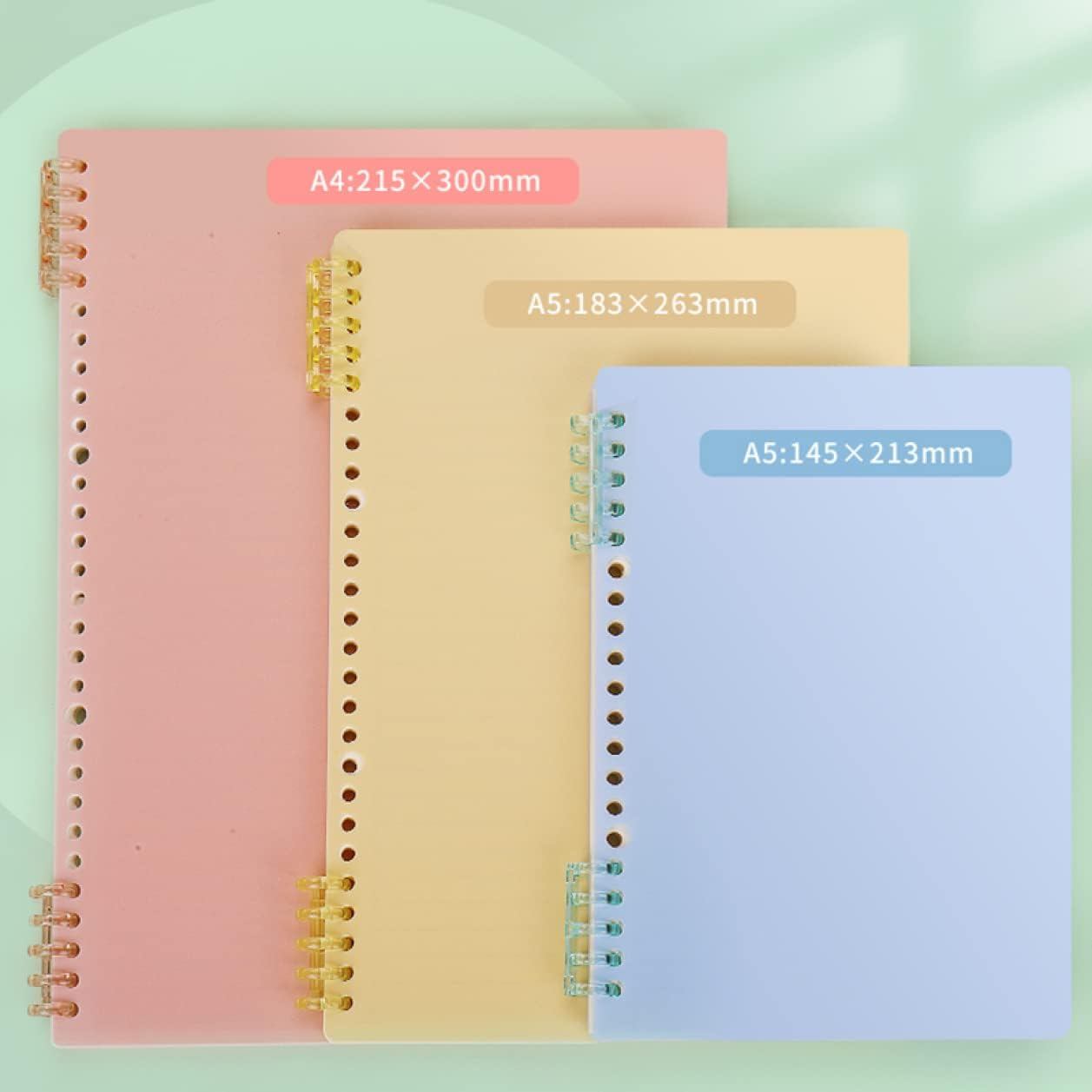 Ģ  塼Ģ B5Ģ ӥͥĢ Ρ ӥͥ ۥ磻 塼֥å Ż  ɸ   Ρ Ψå ʸ˼...