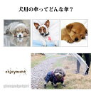 新生活応援 ペット用傘 レイングッズ 犬用傘 雨具 ペット用品 ペットアンブレラ 傘 犬用 犬用ペットアンブレラ 散歩 散歩グッズ 雨対策 雨傘 首輪 クリア チェーン付き 直径70cm 梅雨 透明系 収納可能