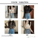 シアー トップス レディース カットソー レース インナー シースルー チュール tシャツ ハイネック 重ね着 長袖 透け ブラウス 着痩せ 日焼け対策 プレゼ...