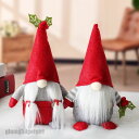 「2タイプ」クリスマス ルドルフ置物 オーナメント サンタぬいぐるみ人形 装飾品オーナメント ドワーフクリスマスツリー飾り ホリデーホームパーティーの装飾 ミニドール サンタクロース おもちゃ 3D立体感 フィギュア 北欧 サンタ 新生活