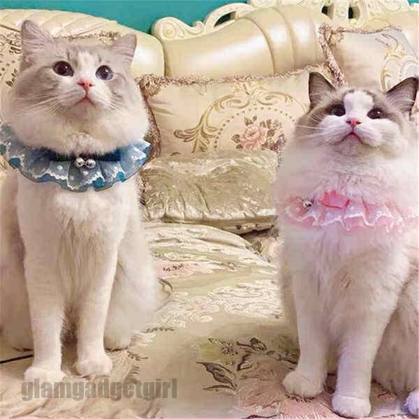 メール便ペットスタイ ビブ レース超可愛い 涎掛け よだれかけ リボンつき 姫風 首輪 おしゃれ メーキャップ用 猫用 犬用 ネコ イヌ おもちゃ ペット雑貨 ...