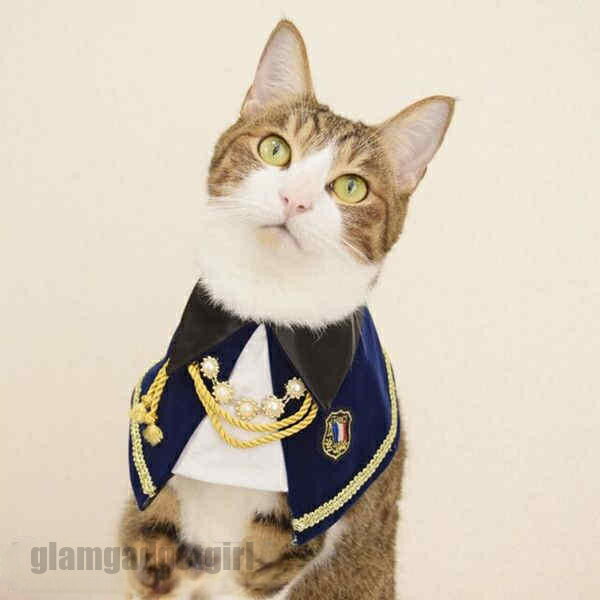 ペット用涎掛け 犬 猫 首飾り リボン レース チョーカー アクセサリー かっこいい おしゃれ フリル おめかし 写真撮り道具 記念日フォト 可愛い ペット用品...