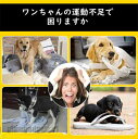 フライングディスク 犬 おもちゃ 円盤 ワンちゃん 2枚セット 直径15cm ペット 犬用フライングディスク 噛むおもちゃ 遊び ストレス解消 柔らかい 投げる...