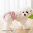 犬用 サニタリーパンツ マナーパンツ 2点セット 4color 生理用 マナーウェア 避妊 介護 しつけ用品 おむつカバー 下着 ケア用品 犬用術後ウェア お散...