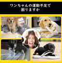 フライングディスク犬 おもちゃ 円盤 ワンちゃん 4枚セット 直径17.5cm ペット 犬用フライングディスク 噛むおもちゃ 遊び ストレス解消 柔らかい 投げ...