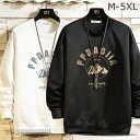 「楽天ス一パ一SALE 10%OFF」送料無料 トレーナーメンズ 大きいサイズ ブルオーバ 秋服 お兄系 スウエット 長袖 トップス 新作 22 プレゼント ギフト 秋 冬 春 秋ファッション 冬物 新生活