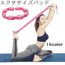 送料無料 エクササイズバンド トレーニングチューブ ループ 連続 ゴム バンド チューブ ヨガ フィットネス ロング 長い 長め 体幹トレーニング インナーマッ...